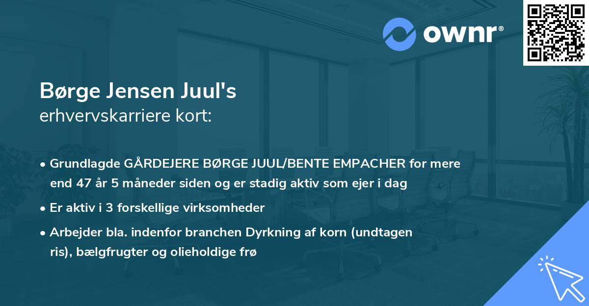 Børge Jensen Juul's erhvervskarriere kort