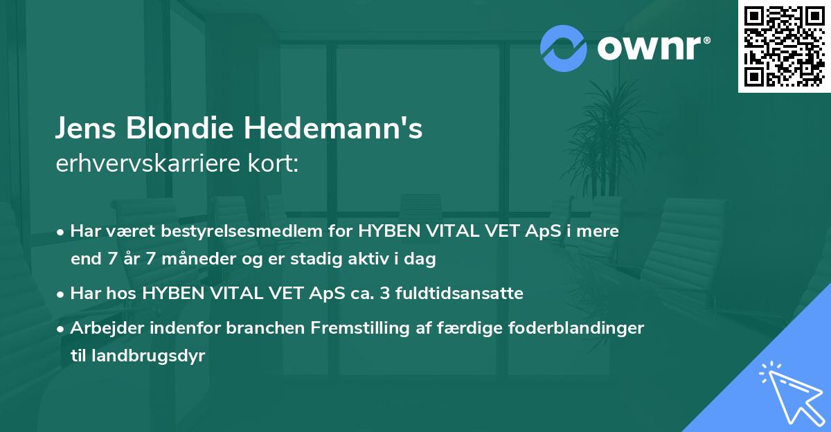 Jens Blondie Hedemann's erhvervskarriere kort