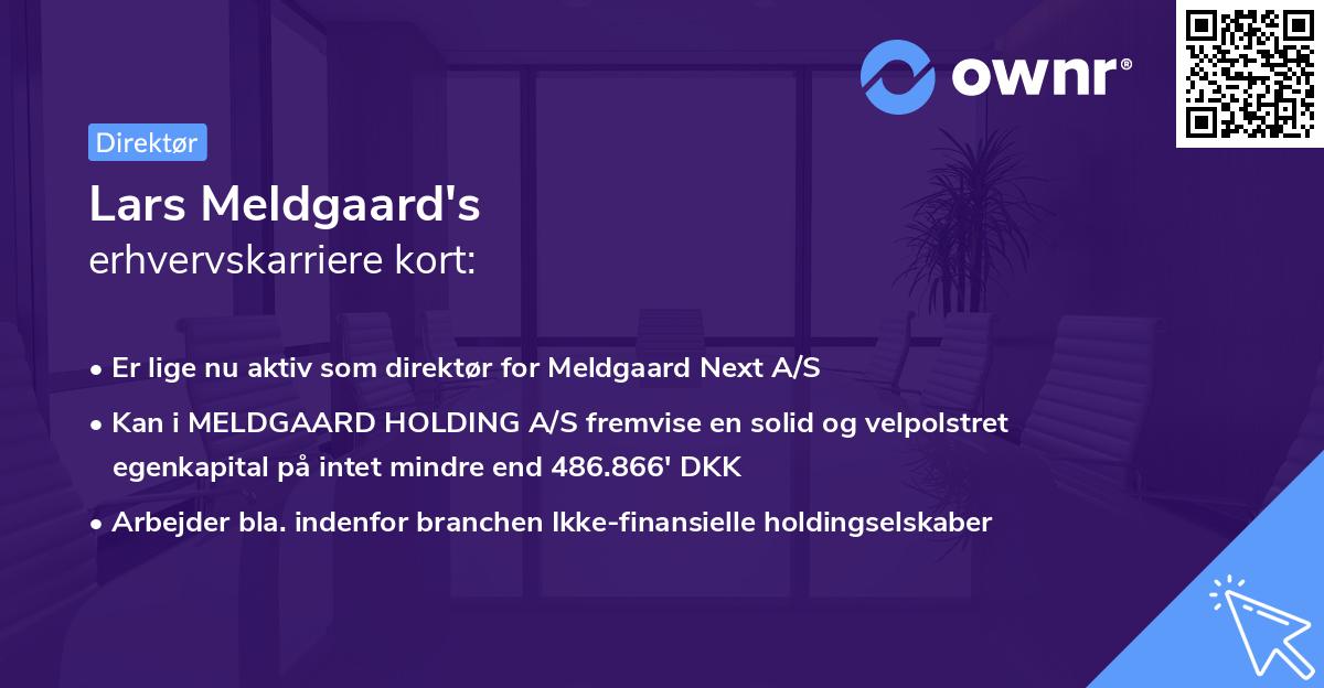 Lars Meldgaard's erhvervskarriere kort