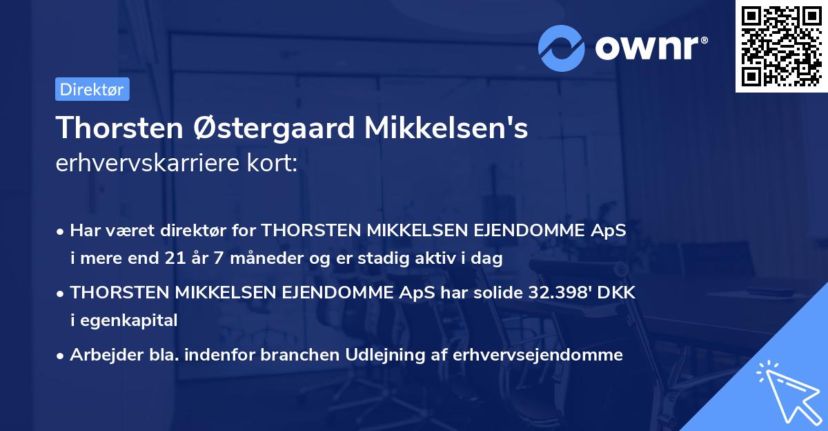 Thorsten Østergaard Mikkelsen's erhvervskarriere kort