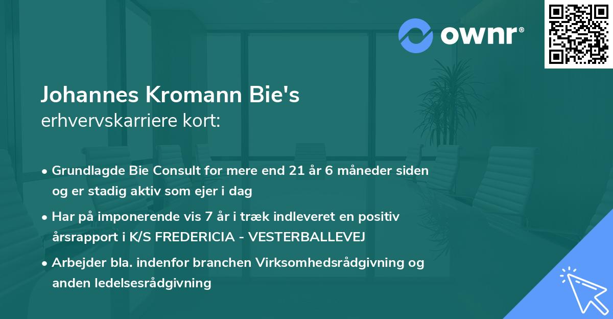Johannes Kromann Bie's erhvervskarriere kort