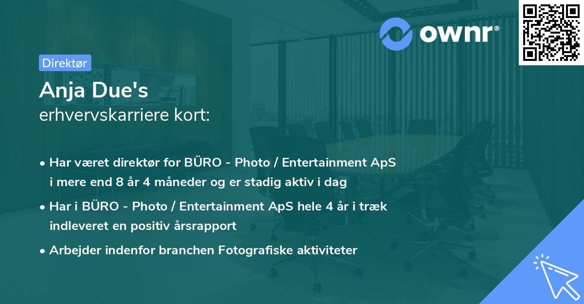 Anja Due's erhvervskarriere kort