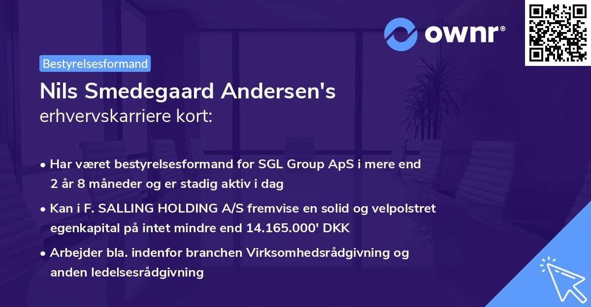 Nils Smedegaard Andersen's erhvervskarriere kort