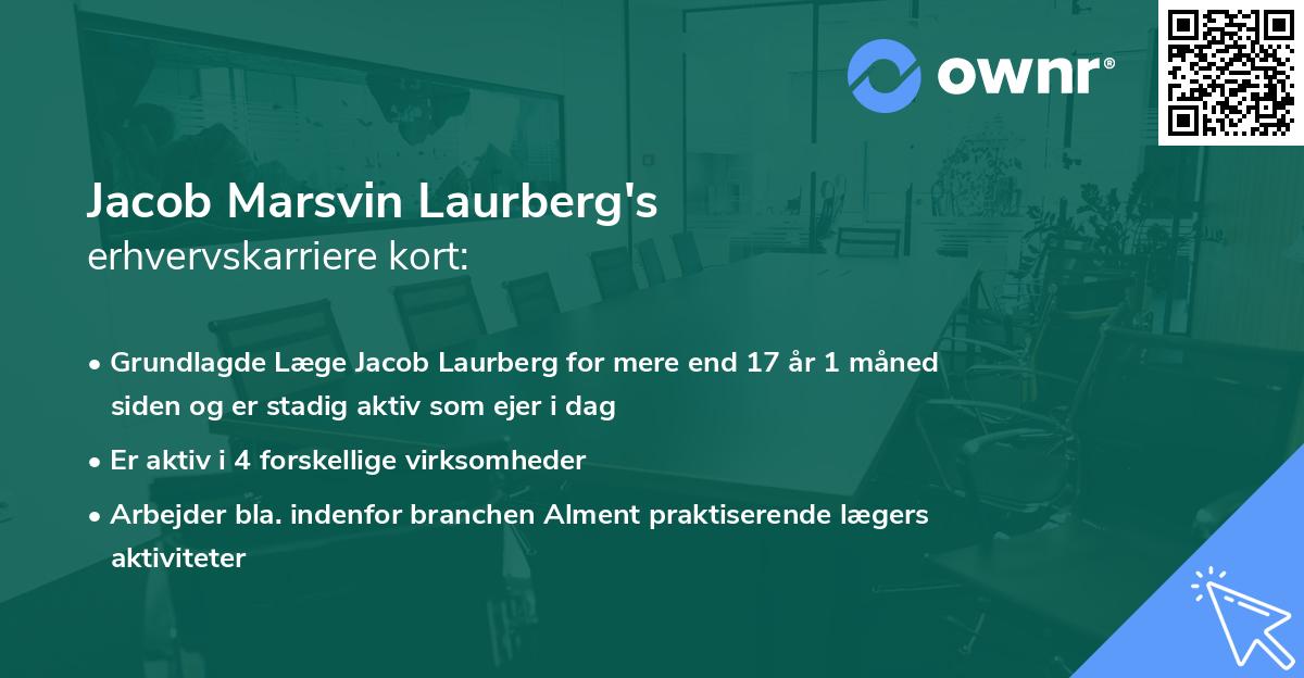 Jacob Marsvin Laurberg's erhvervskarriere kort