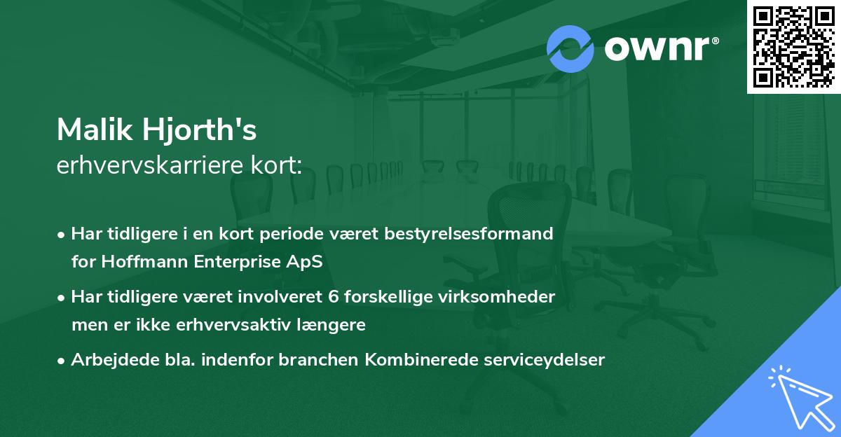 Malik Hjorth's erhvervskarriere kort