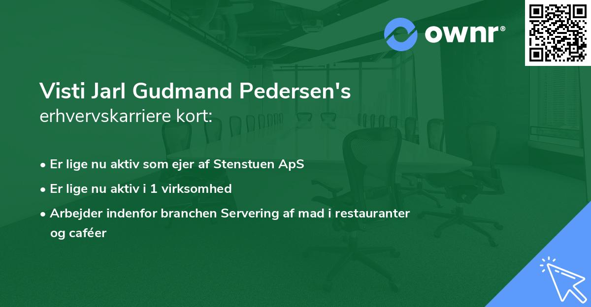 Visti Jarl Gudmand Pedersen's erhvervskarriere kort