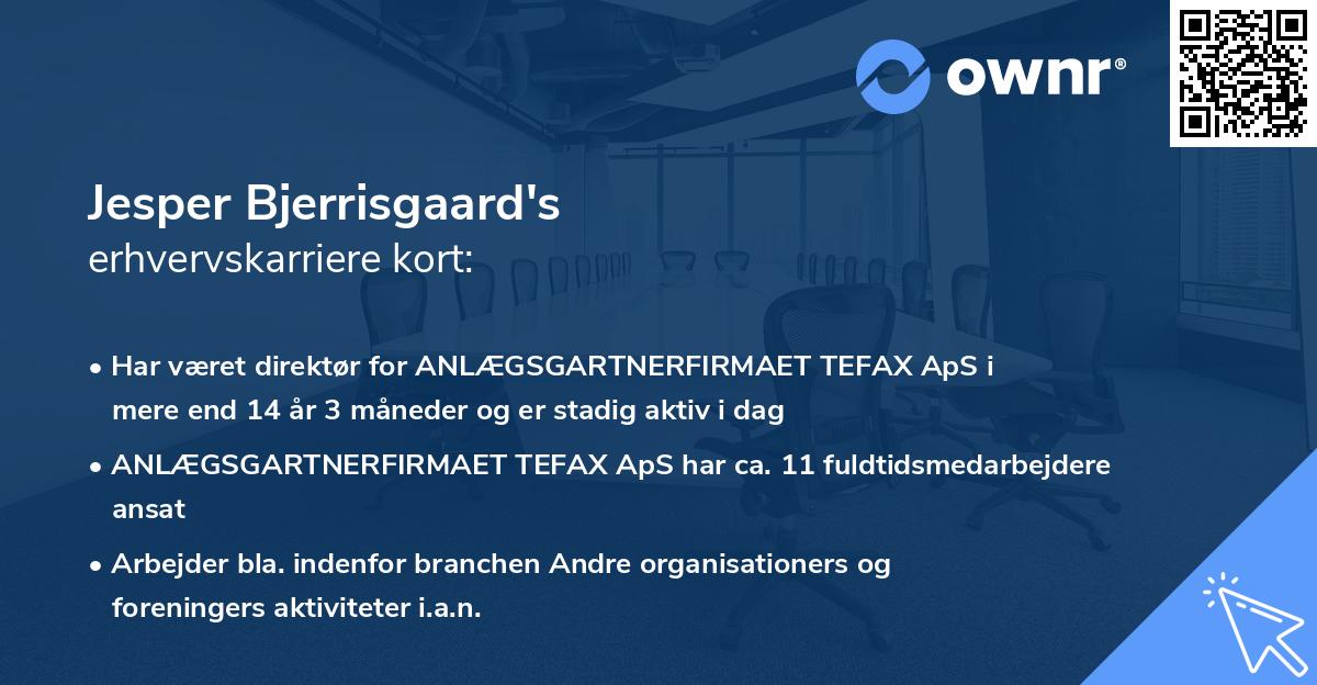 Jesper Bjerrisgaard's erhvervskarriere kort