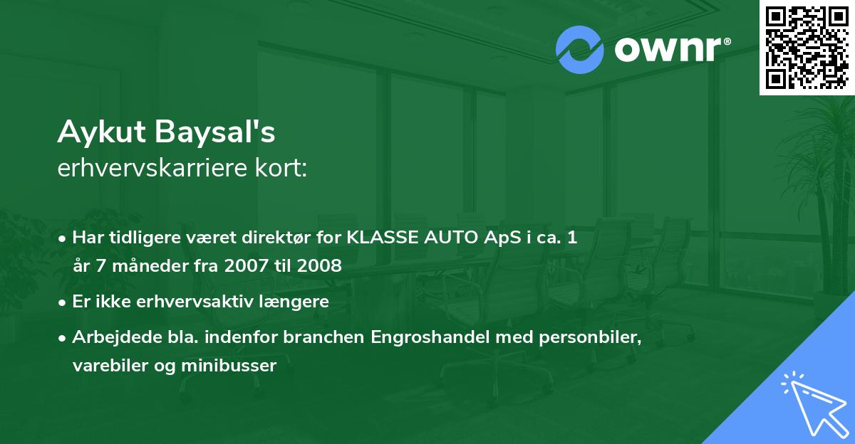 Aykut Baysal's erhvervskarriere kort