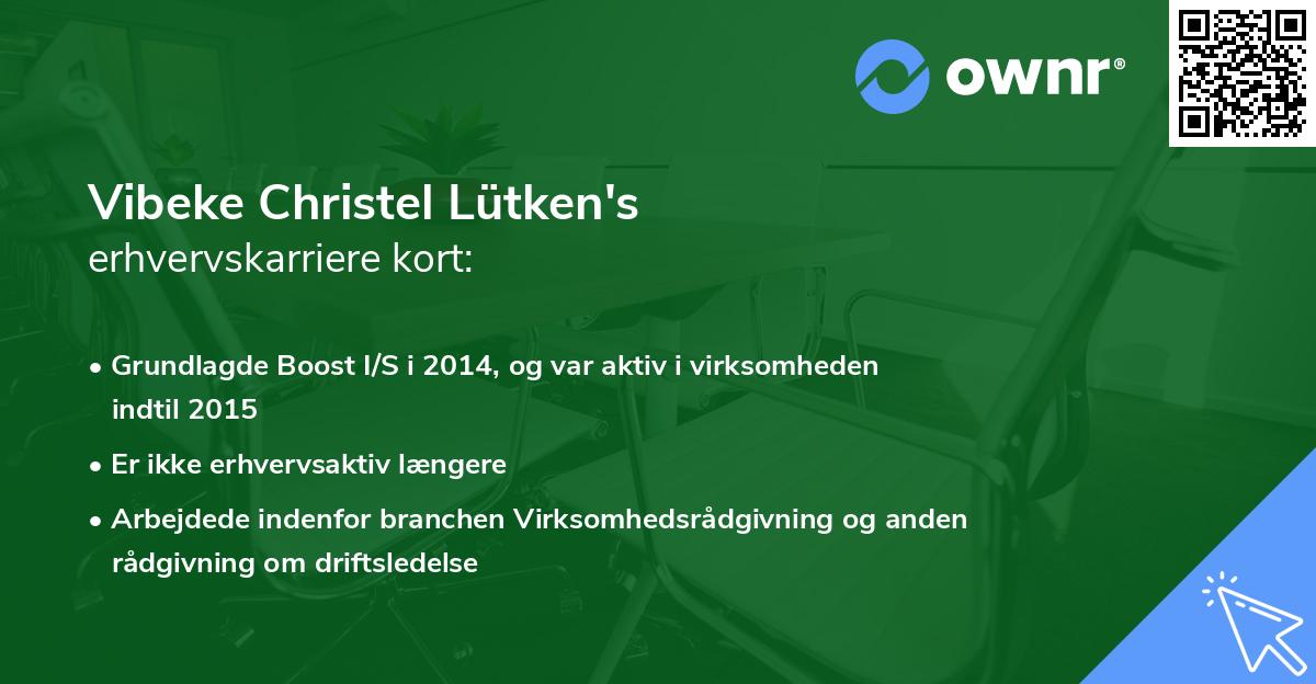 Vibeke Christel Lütken's erhvervskarriere kort