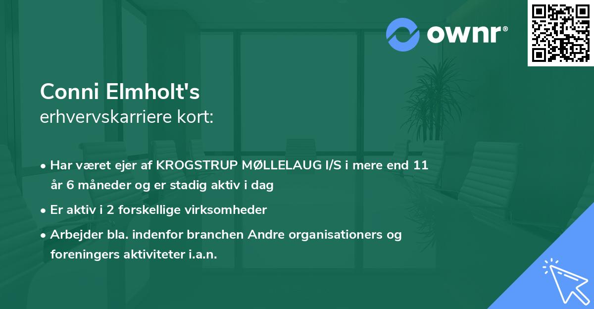 Conni Elmholt's erhvervskarriere kort