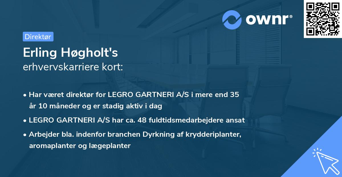 Erling Høgholt's erhvervskarriere kort