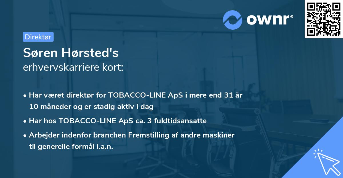 Søren Hørsted's erhvervskarriere kort