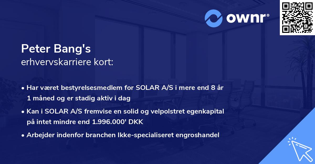 Peter Bang's erhvervskarriere kort