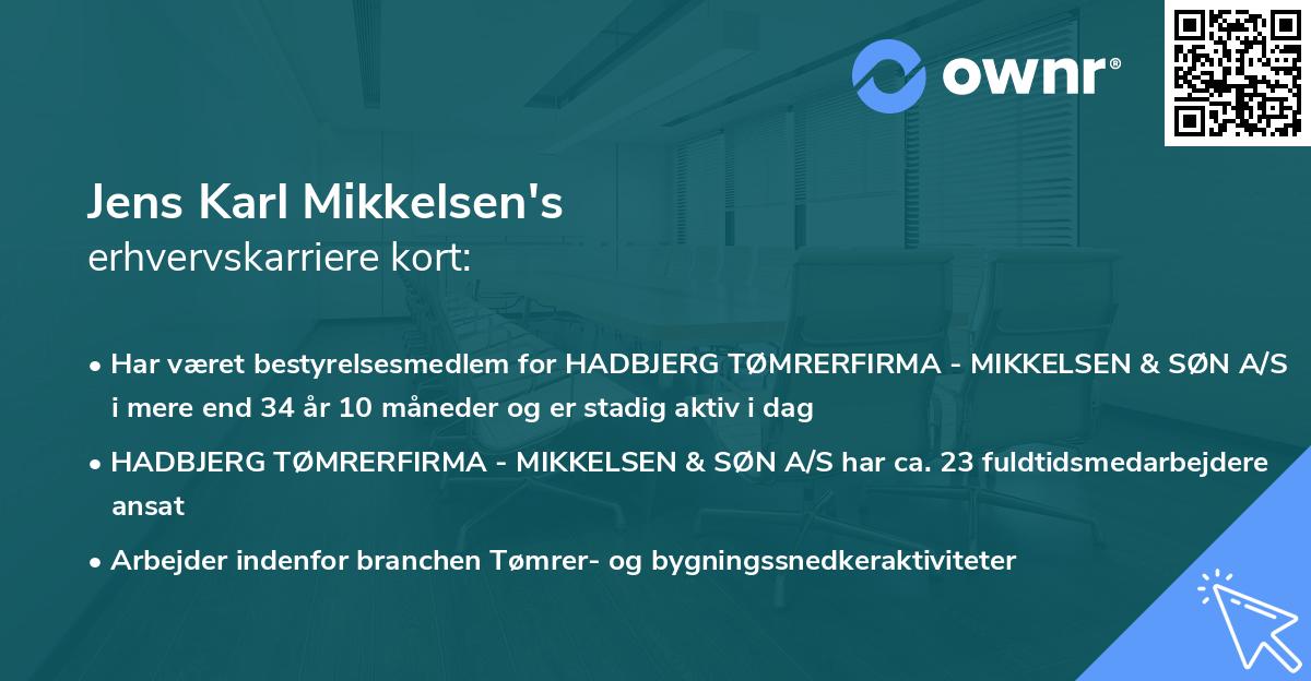 Jens Karl Mikkelsen's erhvervskarriere kort