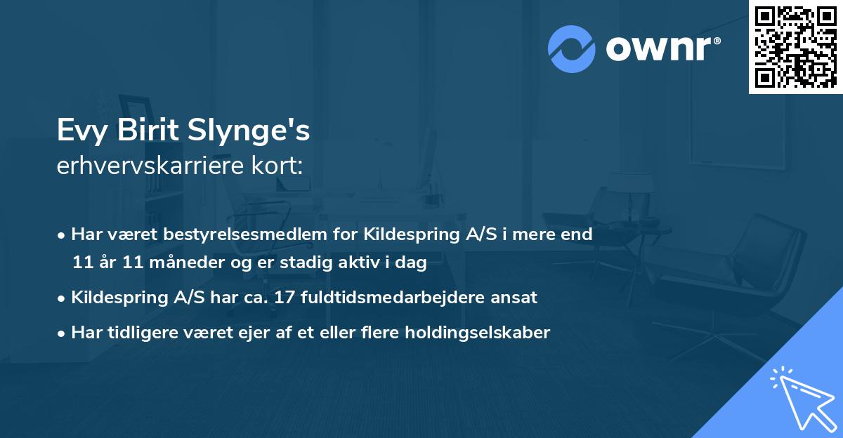 Evy Birit Slynge's erhvervskarriere kort