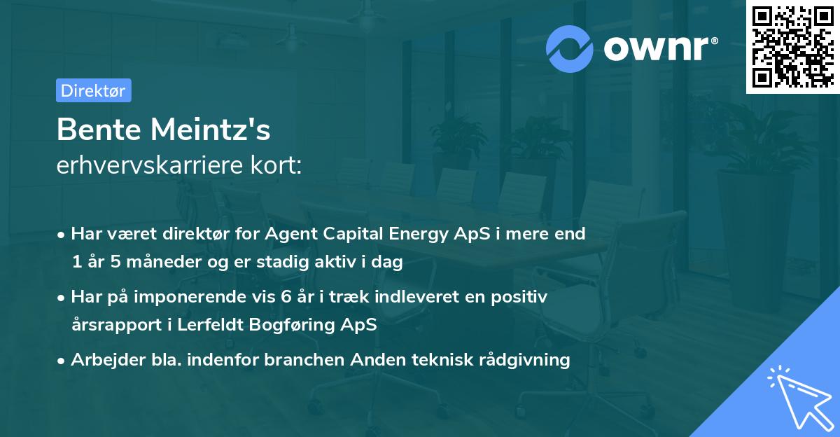 Bente Meintz's erhvervskarriere kort