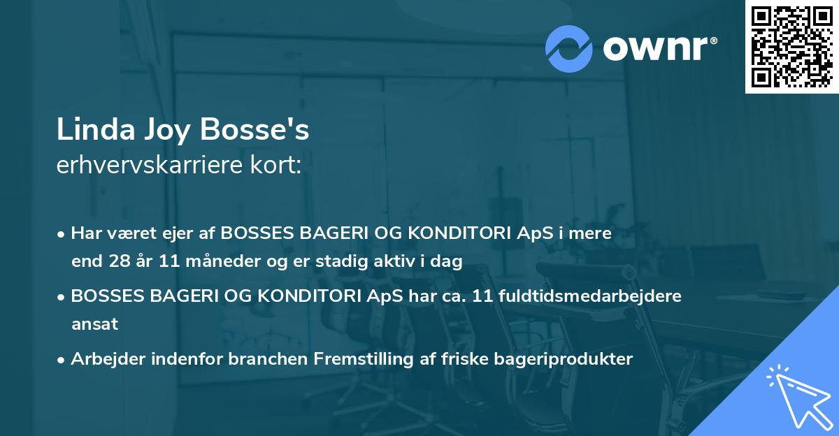 Linda Joy Bosse's erhvervskarriere kort