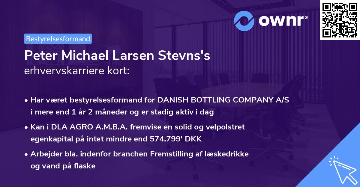 Peter Michael Larsen Stevns's erhvervskarriere kort