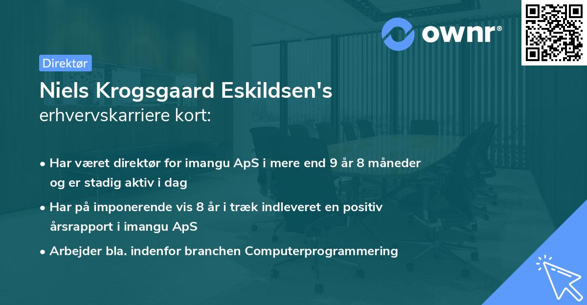 Niels Krogsgaard Eskildsen's erhvervskarriere kort