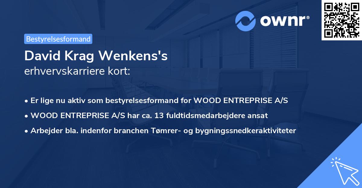 David Krag Wenkens's erhvervskarriere kort