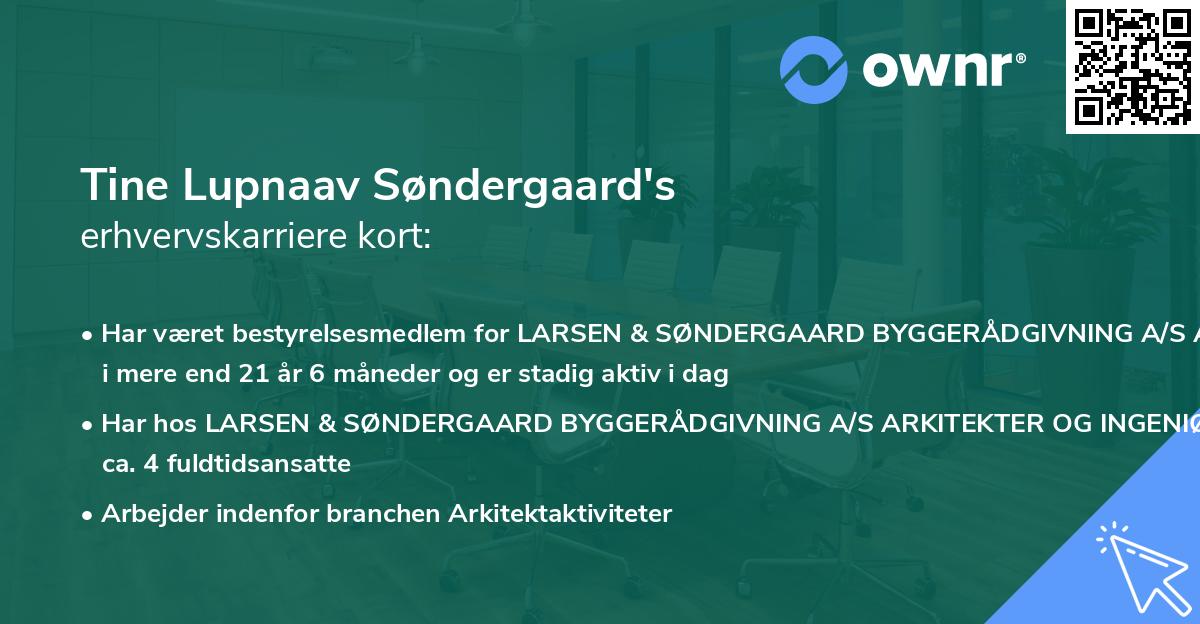 Tine Lupnaav Søndergaard's erhvervskarriere kort
