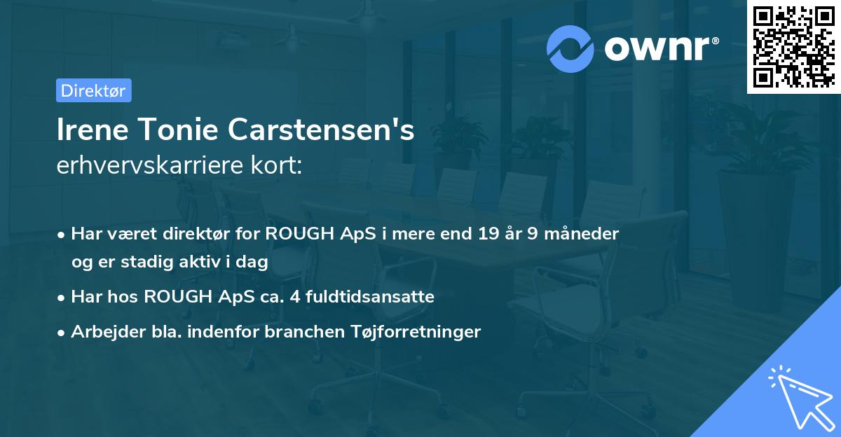 Irene Tonie Carstensen's erhvervskarriere kort