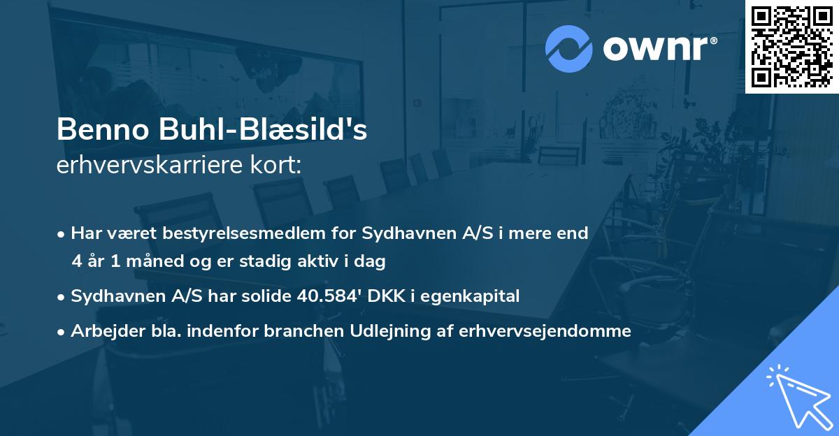 Benno Buhl-Blæsild's erhvervskarriere kort