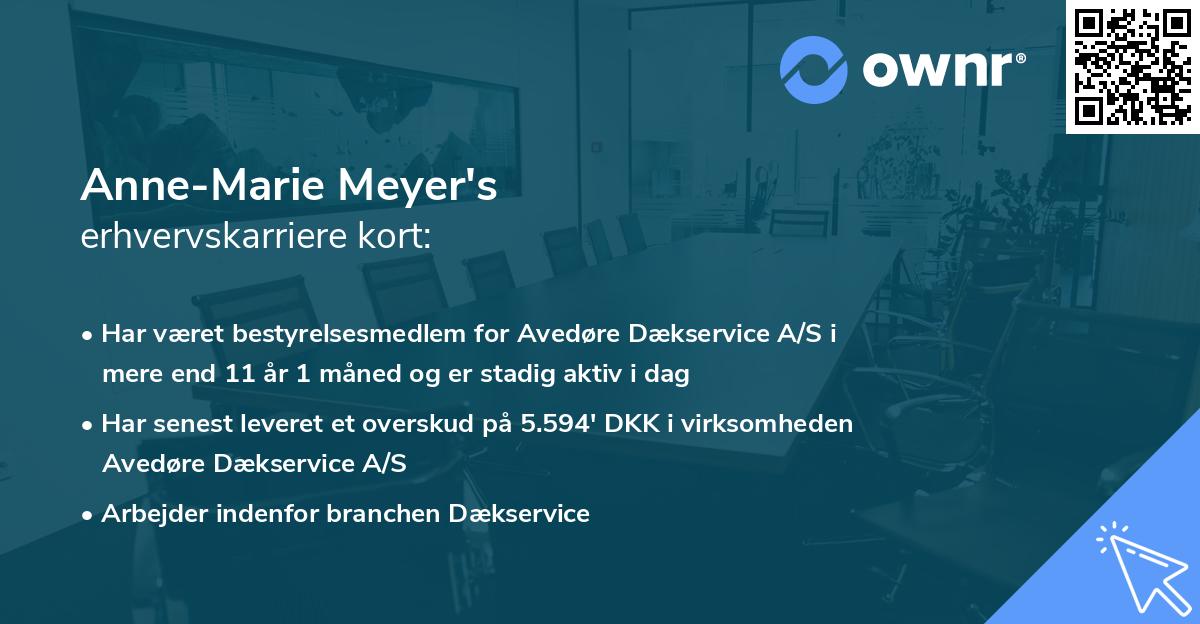 Anne-Marie Meyer's erhvervskarriere kort