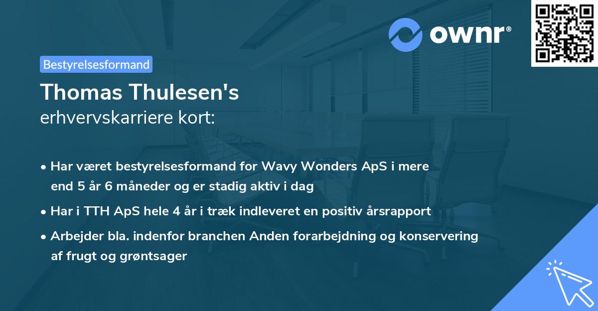 Thomas Thulesen's erhvervskarriere kort