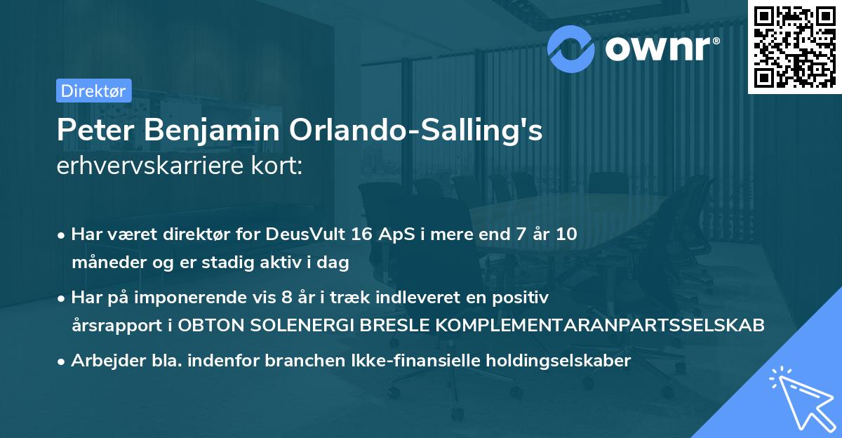 Peter Benjamin Orlando-Salling's erhvervskarriere kort