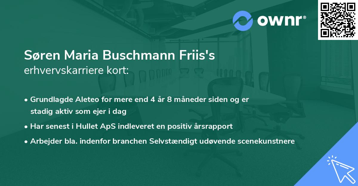 Søren Maria Buschmann Friis's erhvervskarriere kort