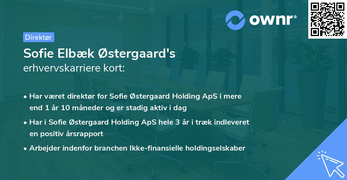 Sofie Elbæk Østergaard's erhvervskarriere kort