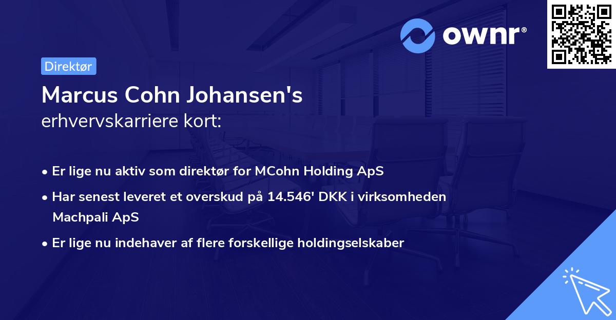 Marcus Cohn Johansen's erhvervskarriere kort