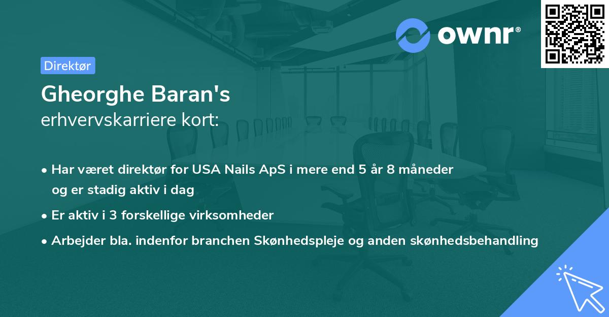 Gheorghe Baran's erhvervskarriere kort