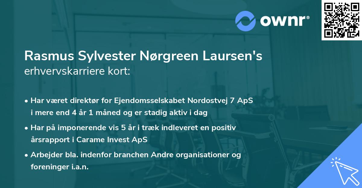 Rasmus Sylvester Nørgreen Laursen's erhvervskarriere kort