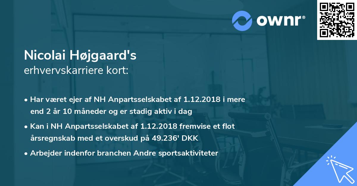 Nicolai Højgaard's erhvervskarriere kort