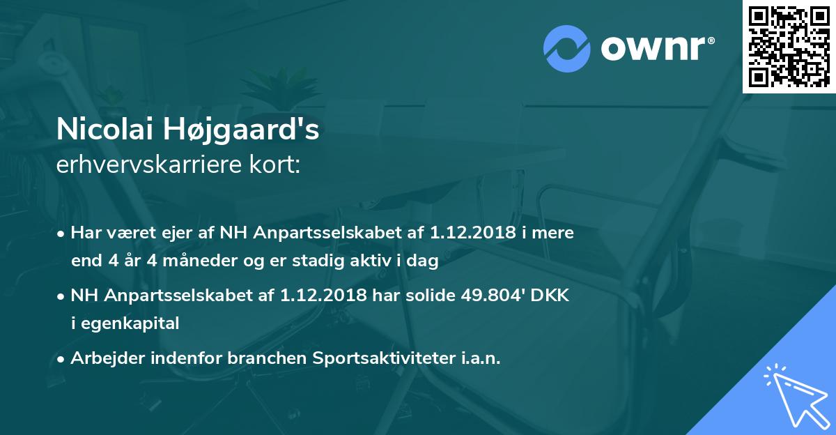 Nicolai Højgaard's erhvervskarriere kort