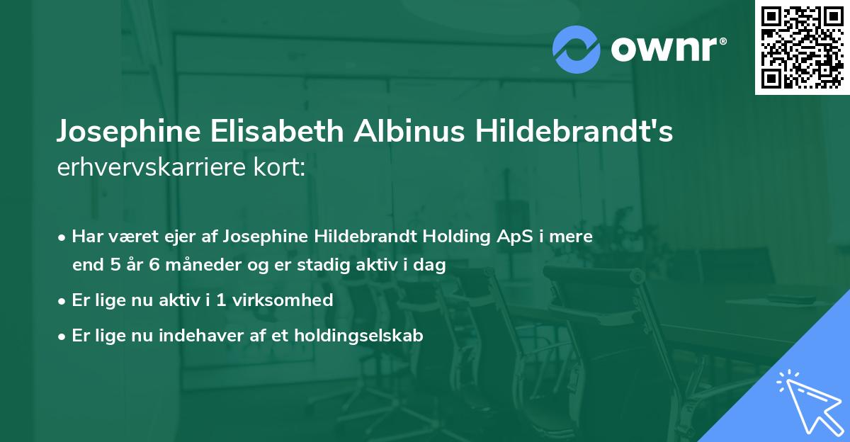 Josephine Elisabeth Albinus Hildebrandt's erhvervskarriere kort