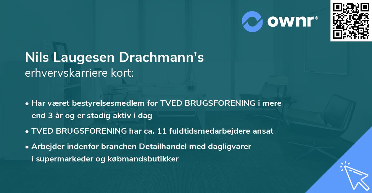 Nils Laugesen Drachmann's erhvervskarriere kort
