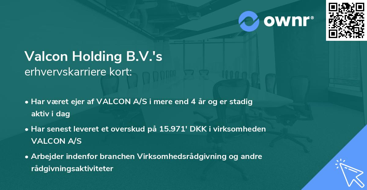 Valcon Holding B.V.'s erhvervskarriere kort