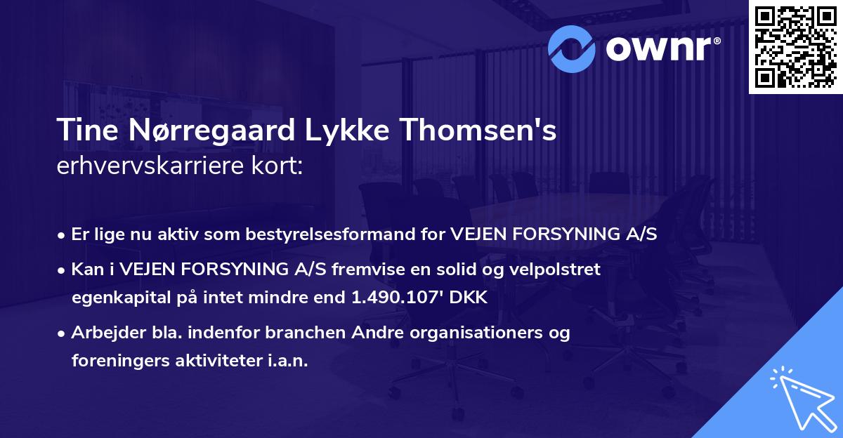 Tine Nørregaard Lykke Thomsen's erhvervskarriere kort