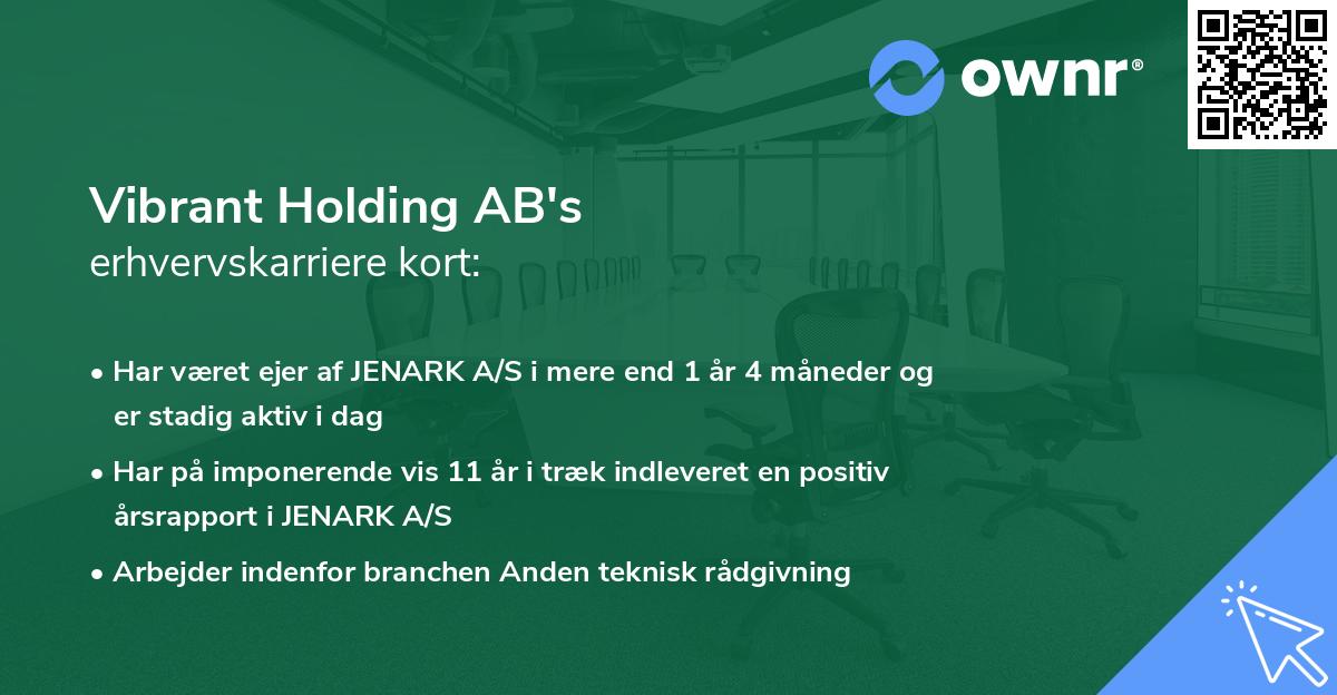 Vibrant Holding AB's erhvervskarriere kort