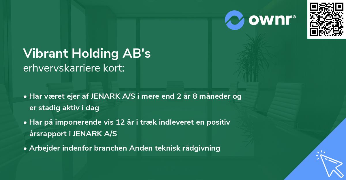 Vibrant Holding AB's erhvervskarriere kort