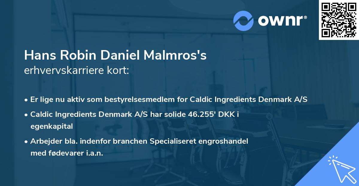 Hans Robin Daniel Malmros's erhvervskarriere kort