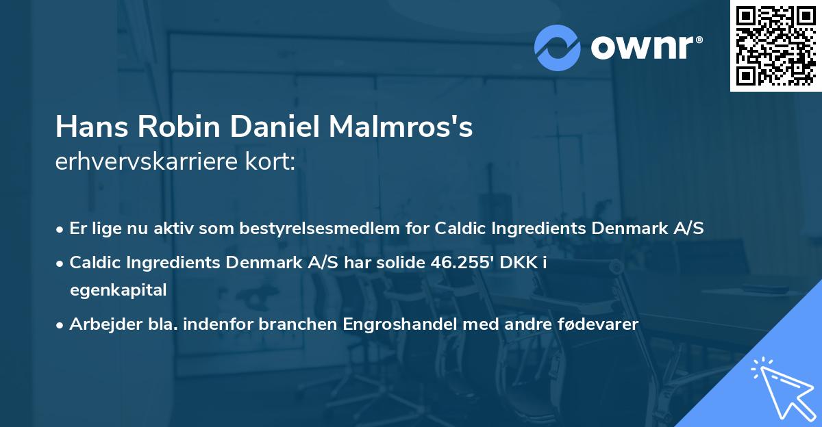 Hans Robin Daniel Malmros's erhvervskarriere kort