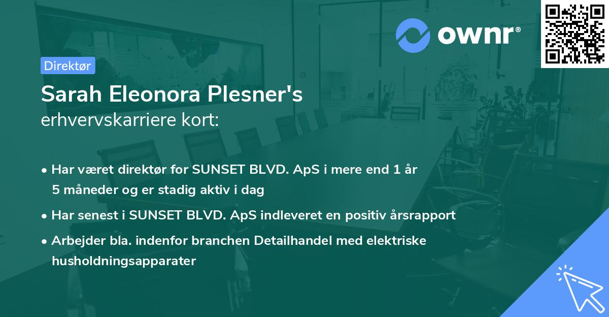 Sarah Eleonora Plesner's erhvervskarriere kort