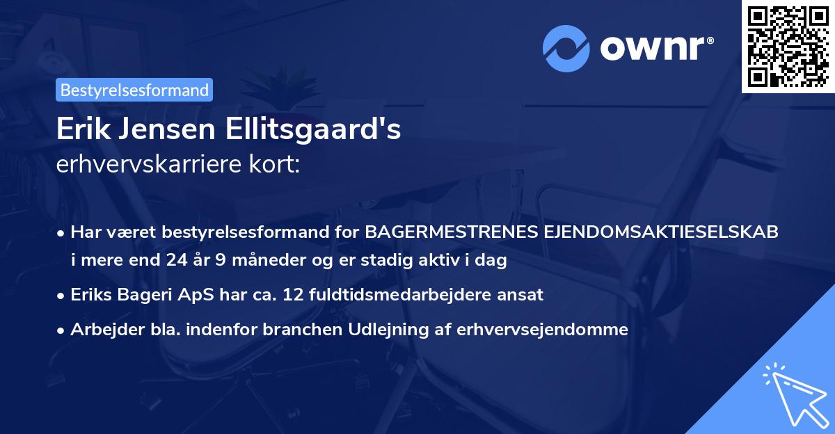 Erik Jensen Ellitsgaard's erhvervskarriere kort