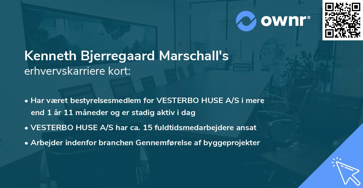 Kenneth Bjerregaard Marschall's erhvervskarriere kort