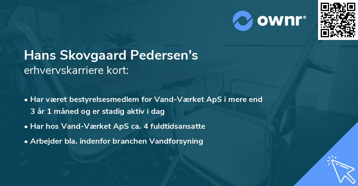 Hans Skovgaard Pedersen's erhvervskarriere kort