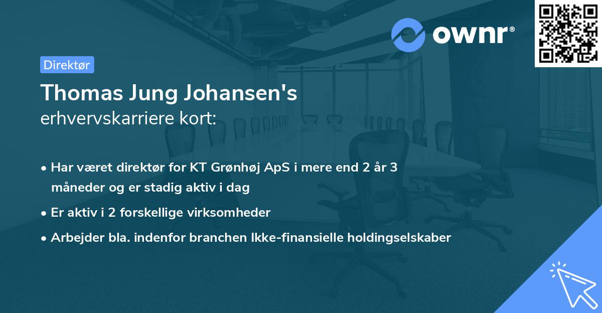 Thomas Jung Johansen's erhvervskarriere kort